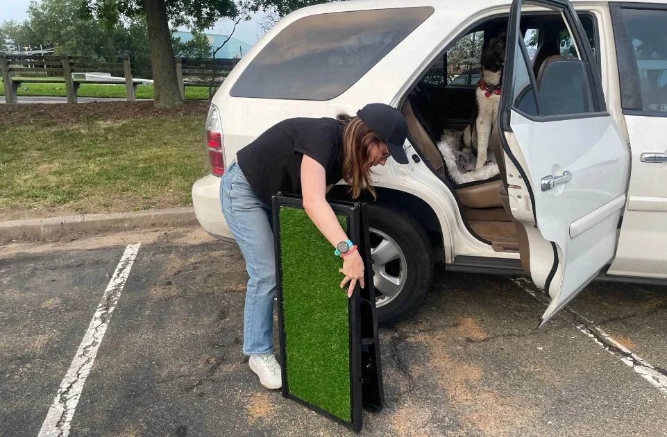 best-ramp-for-large-dogs