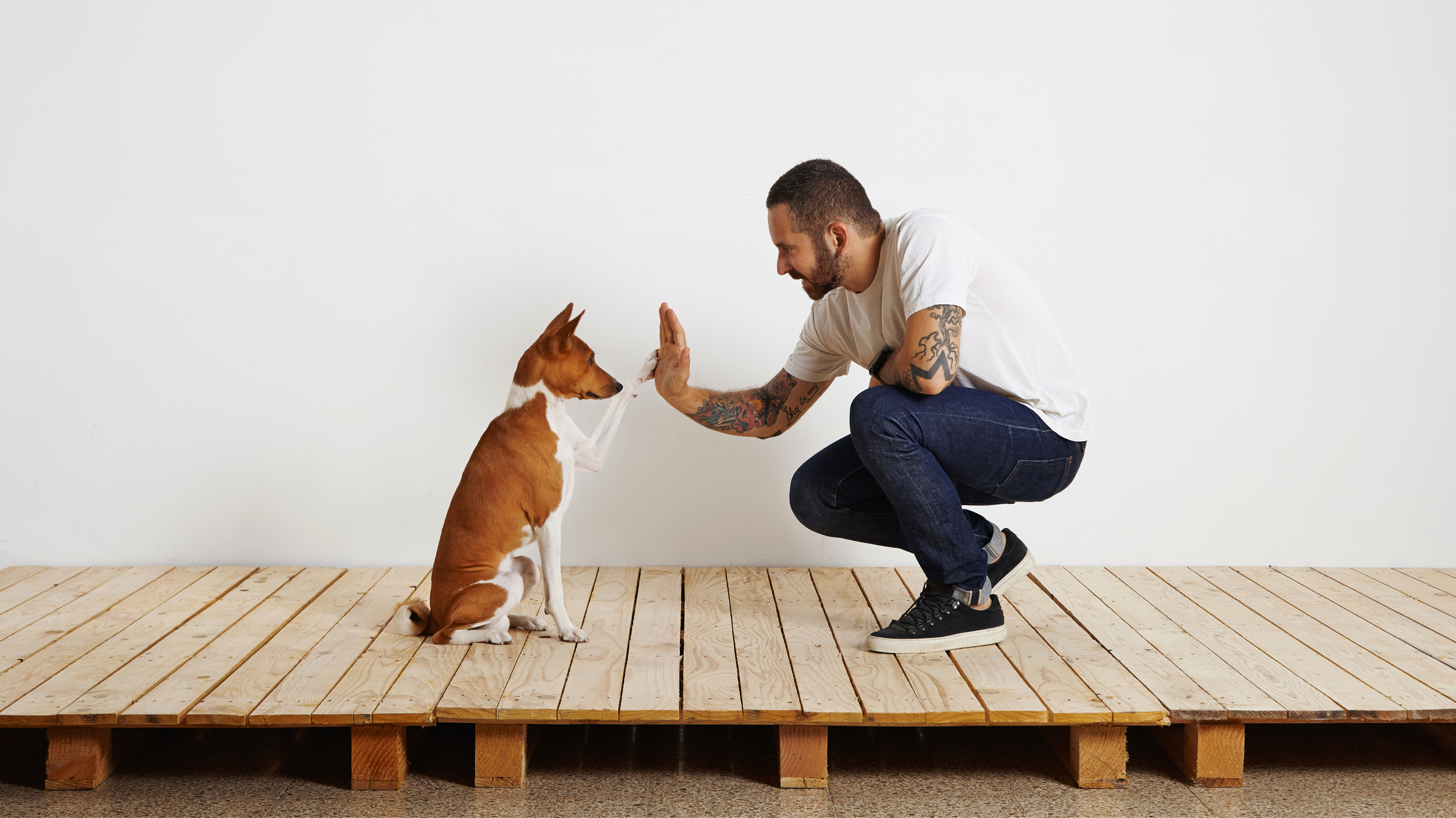 Celebrate-Halloween-with-your-dog