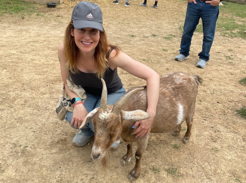 gentle-barn-book-review