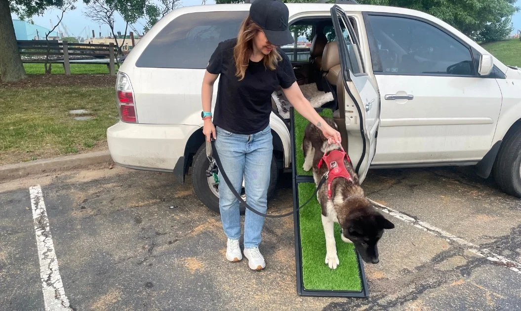 best-ramp-for-large-dogs