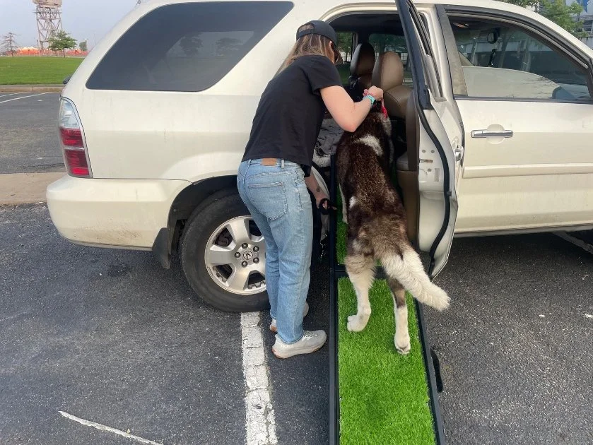 best-ramp-for-large-dogs