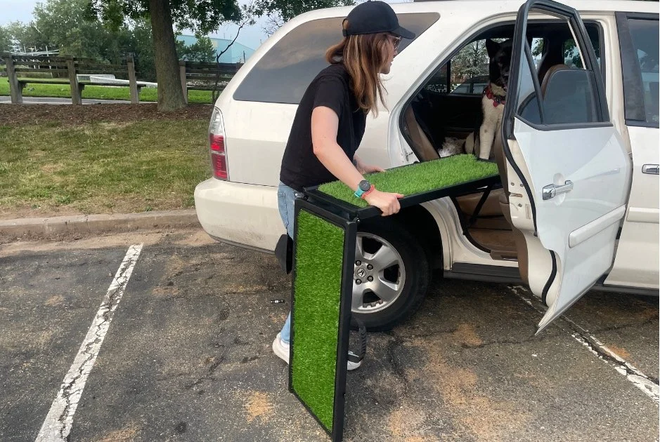 best-ramp-for-large-dogs