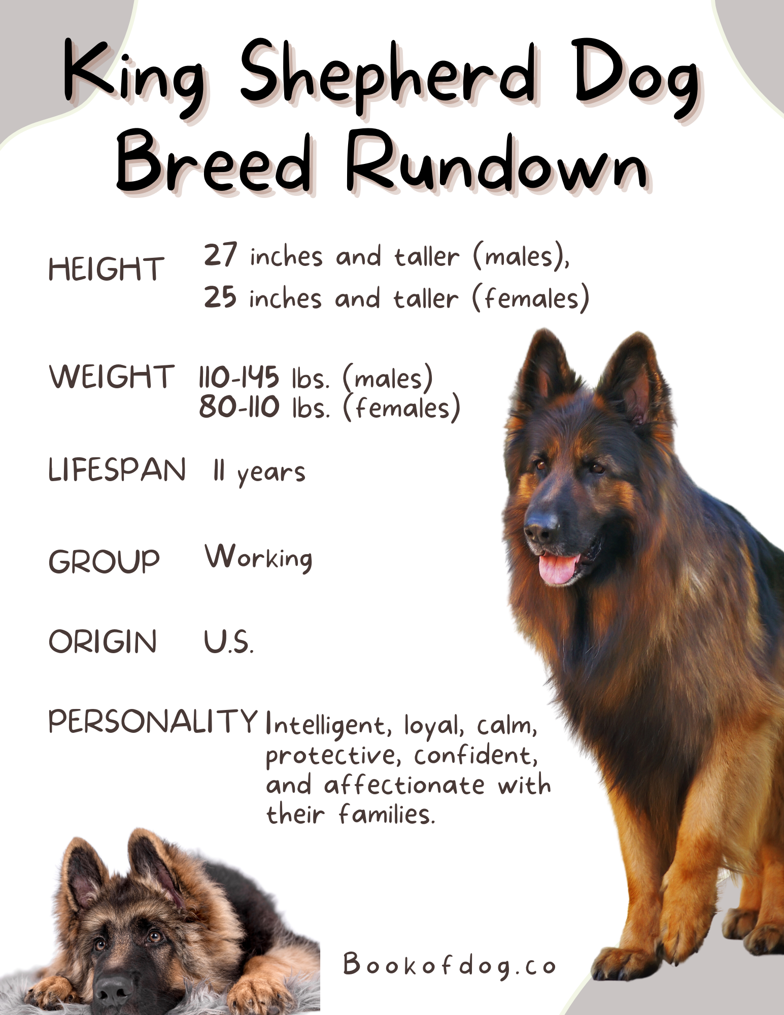 King Shepherd Dog Breed Information Book of Dog