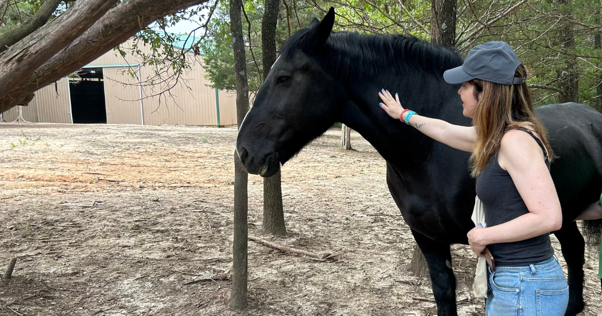 gentle-barn-book-review