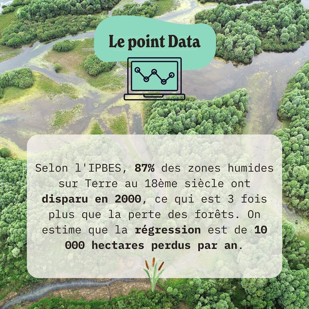 🦎On se retrouve pour un nouveau point data !

Comme vous le savez tr&egrave;s certainement, nos ch&egrave;res zones humides sont sources d&rsquo;une grande biodiversit&eacute; mais diminuent d&rsquo;ann&eacute;e en ann&eacute;e&hellip; 
Les amphibie