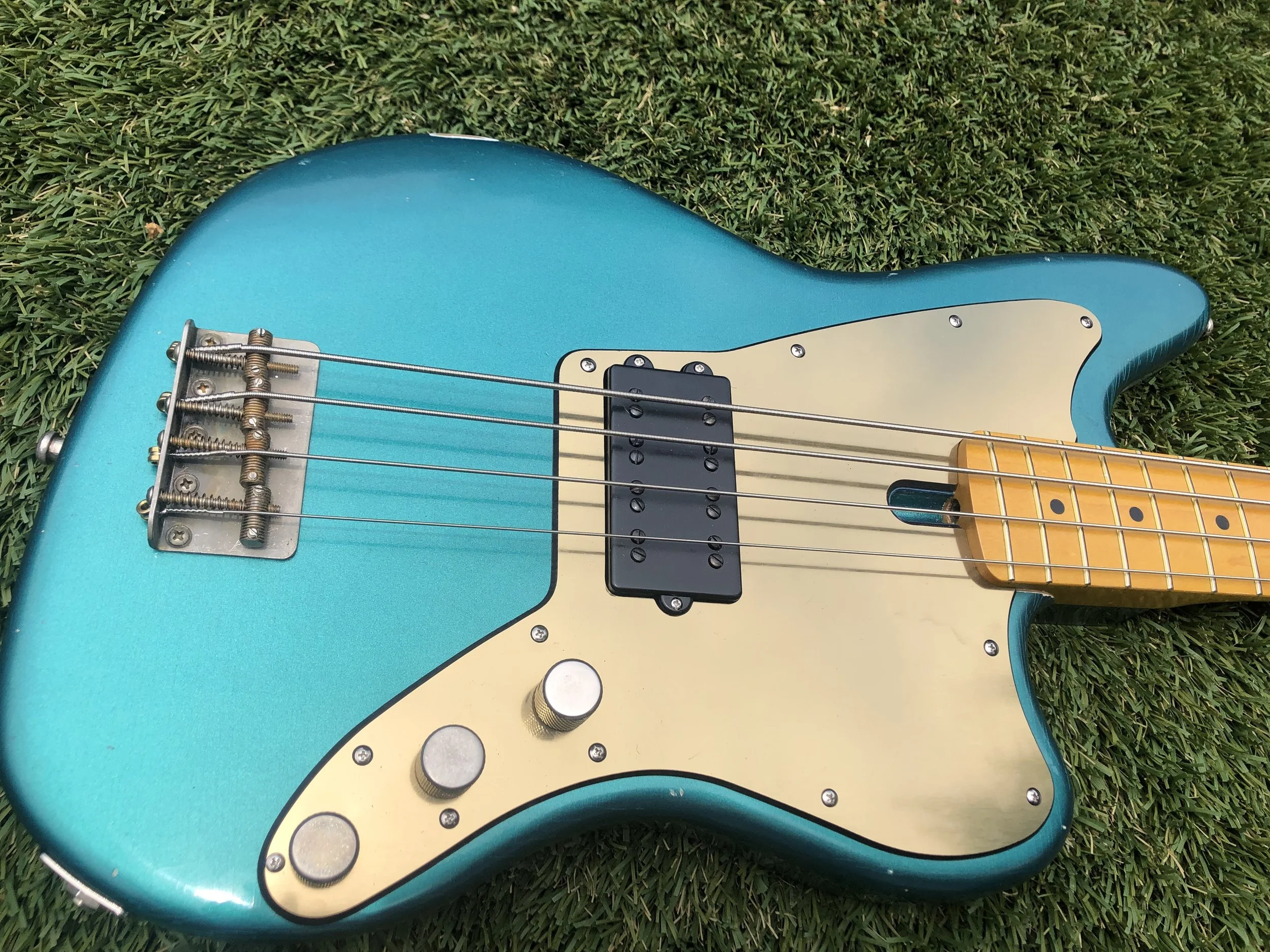 GGB basses 1-11 copy.jpg