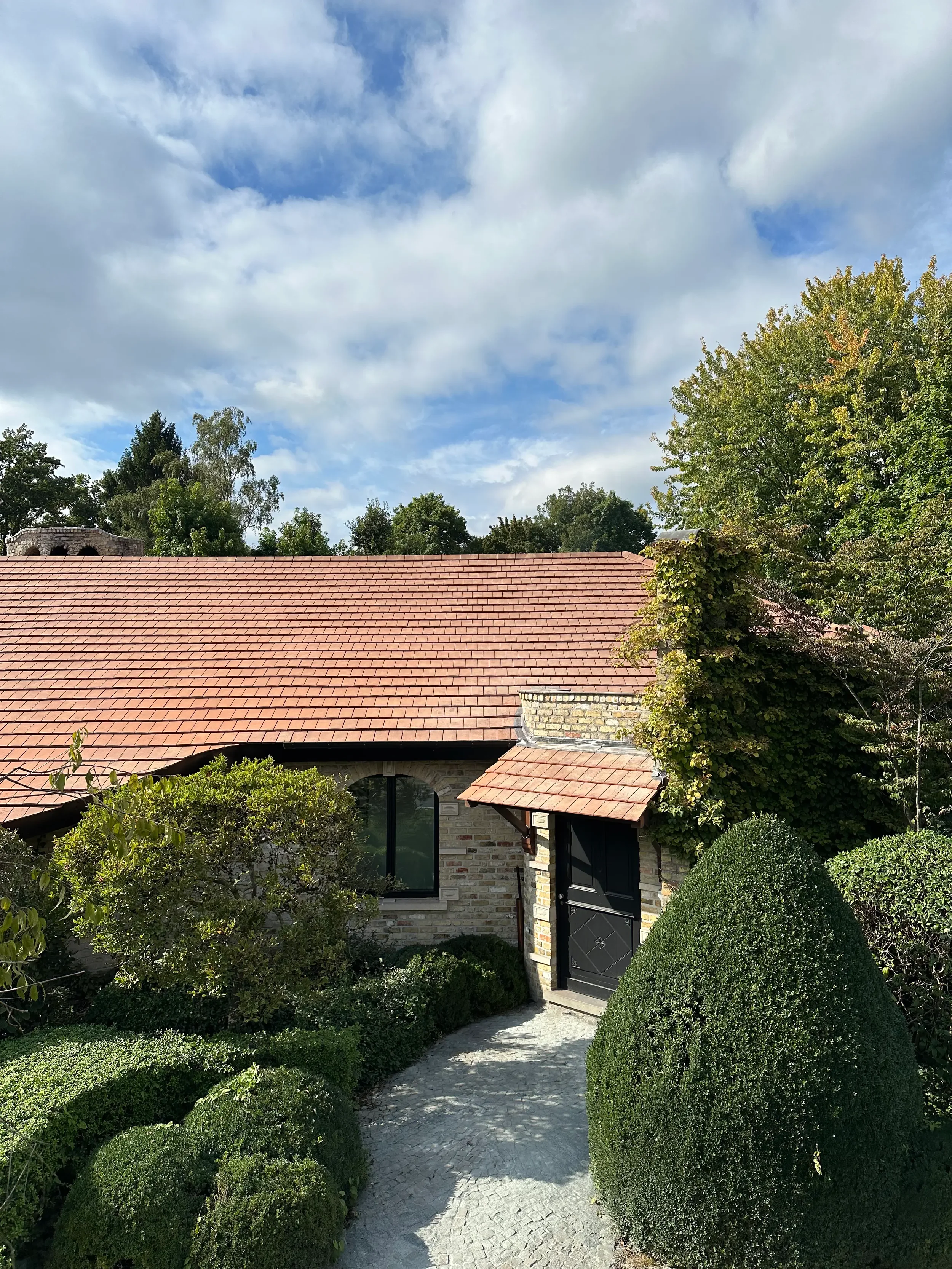 dakrenovatie in geel