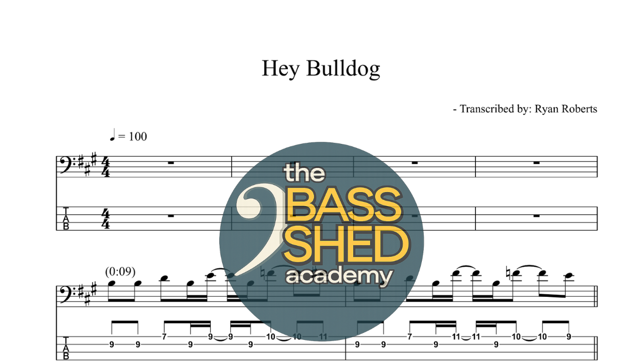 Hey Bulldog