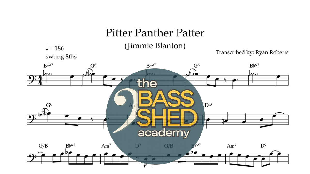 Pitter, Panther, Patter