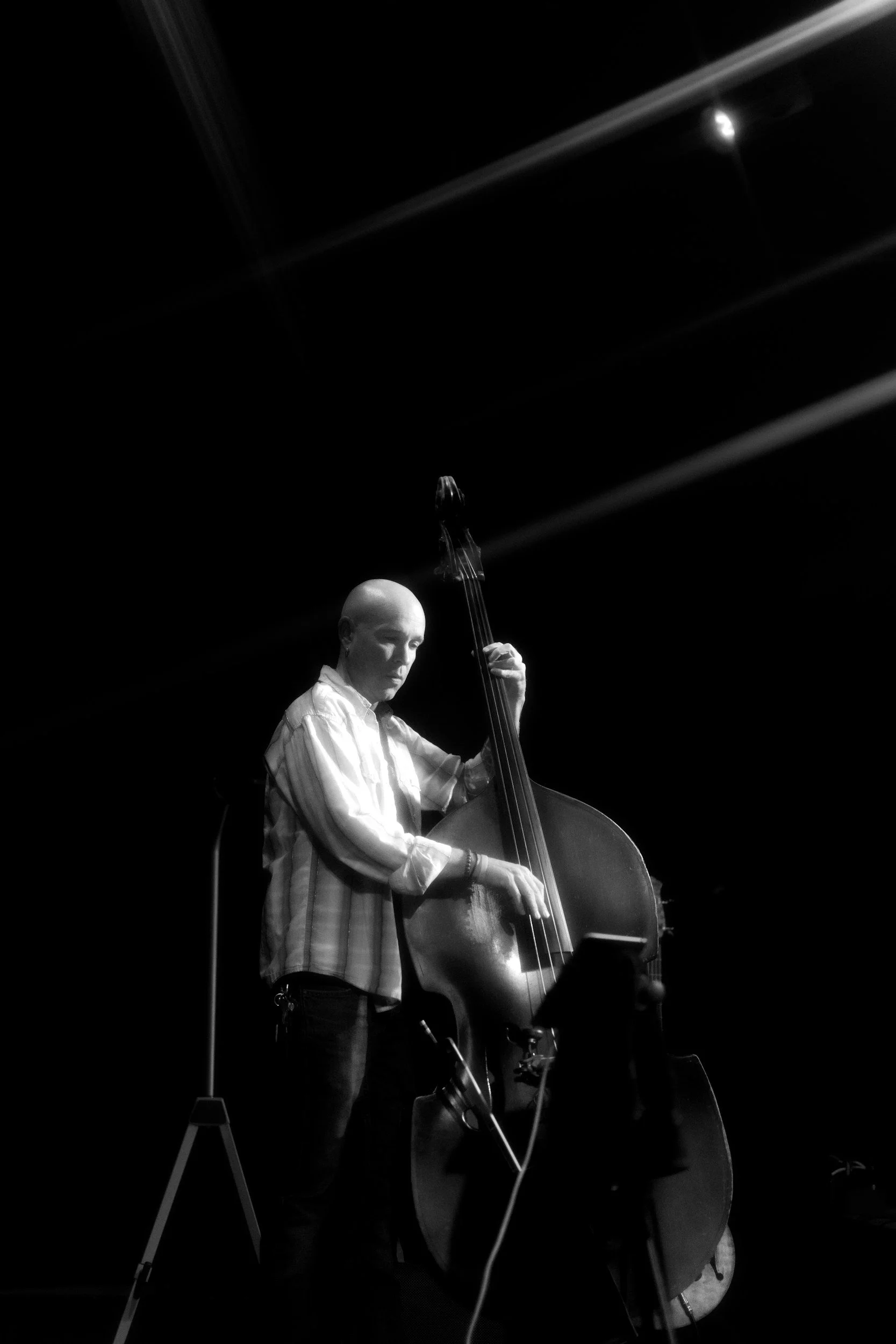 A man playing a double bass on stage, illuminated by a spotlight in a dark setting.
