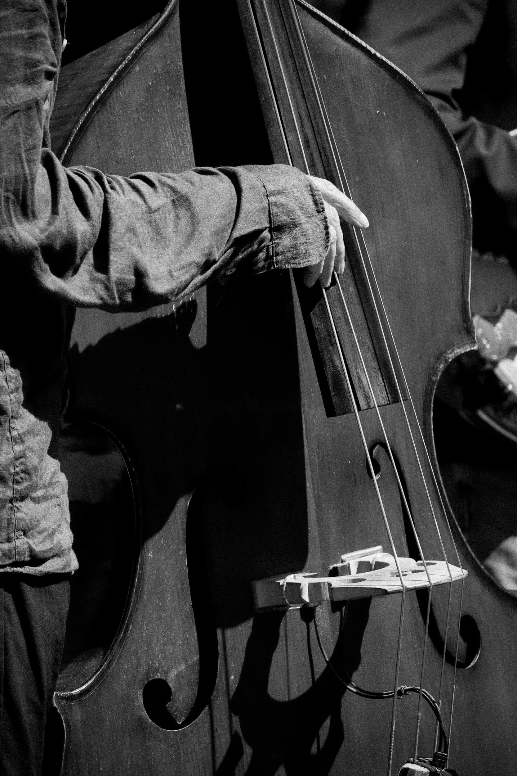 A person playing an upright bass in a black and white photo. The musician's hand is on the strings, and part of their arm and clothing are visible. The bass is resting on the floor, with its strings and body visible, casting shadows on the floor.