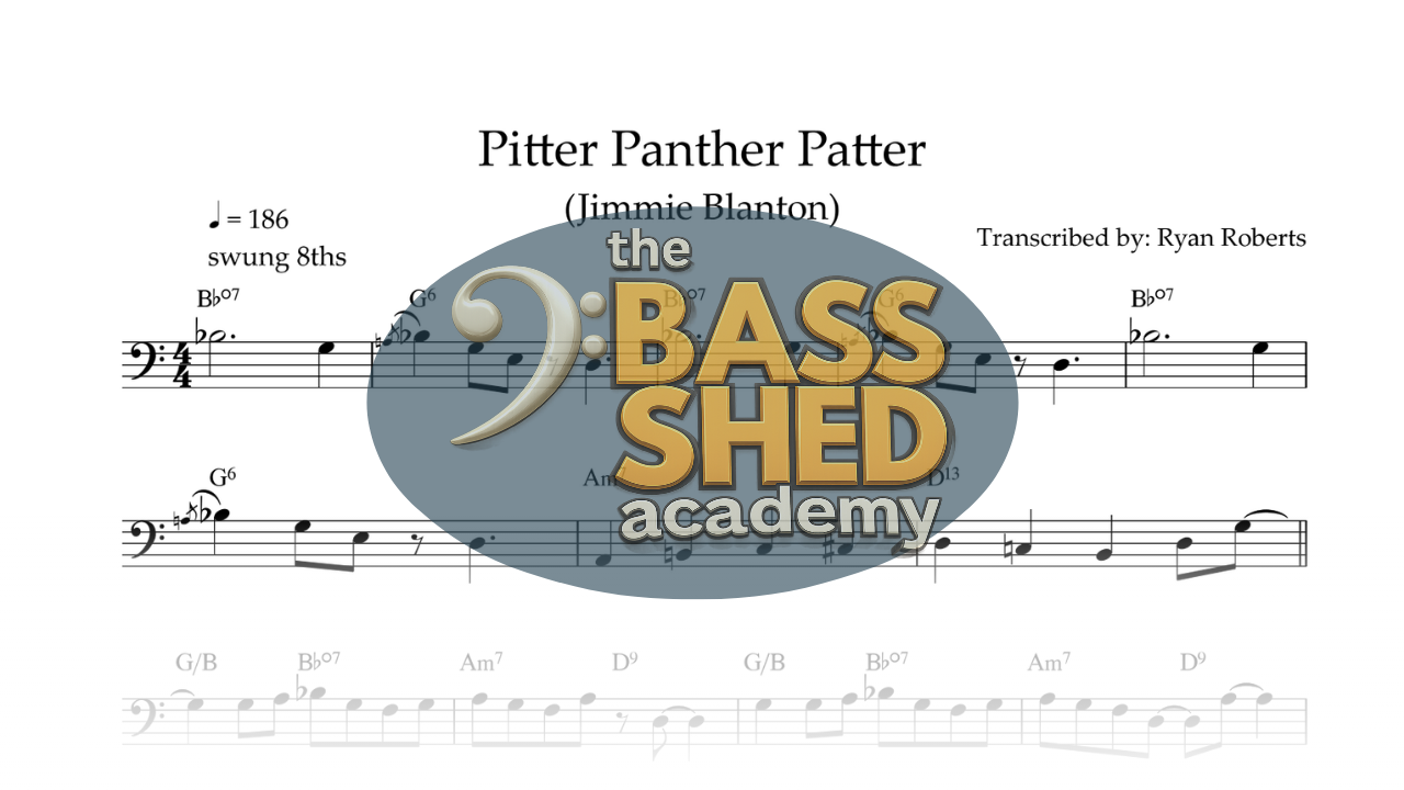 Pitter, Panther, Patter