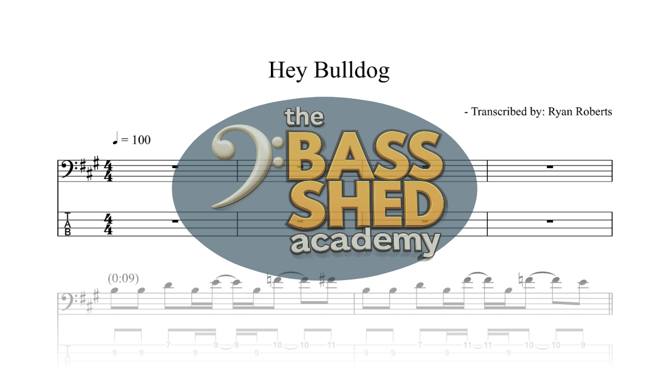 Hey Bulldog