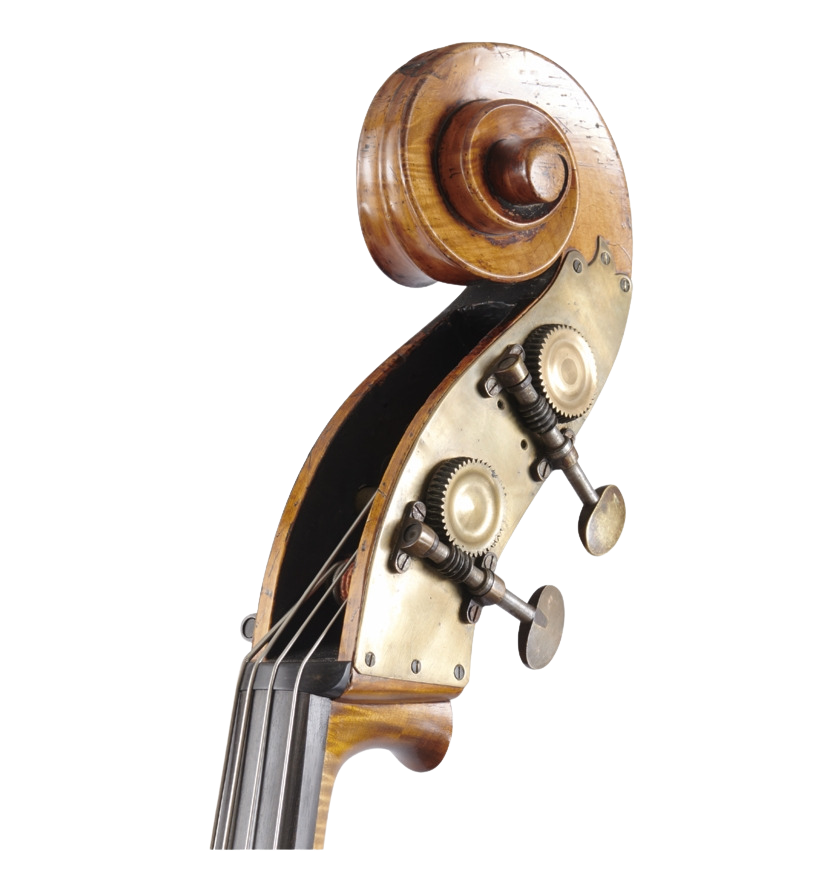 Double bass headstock with tuning pegs and scroll.