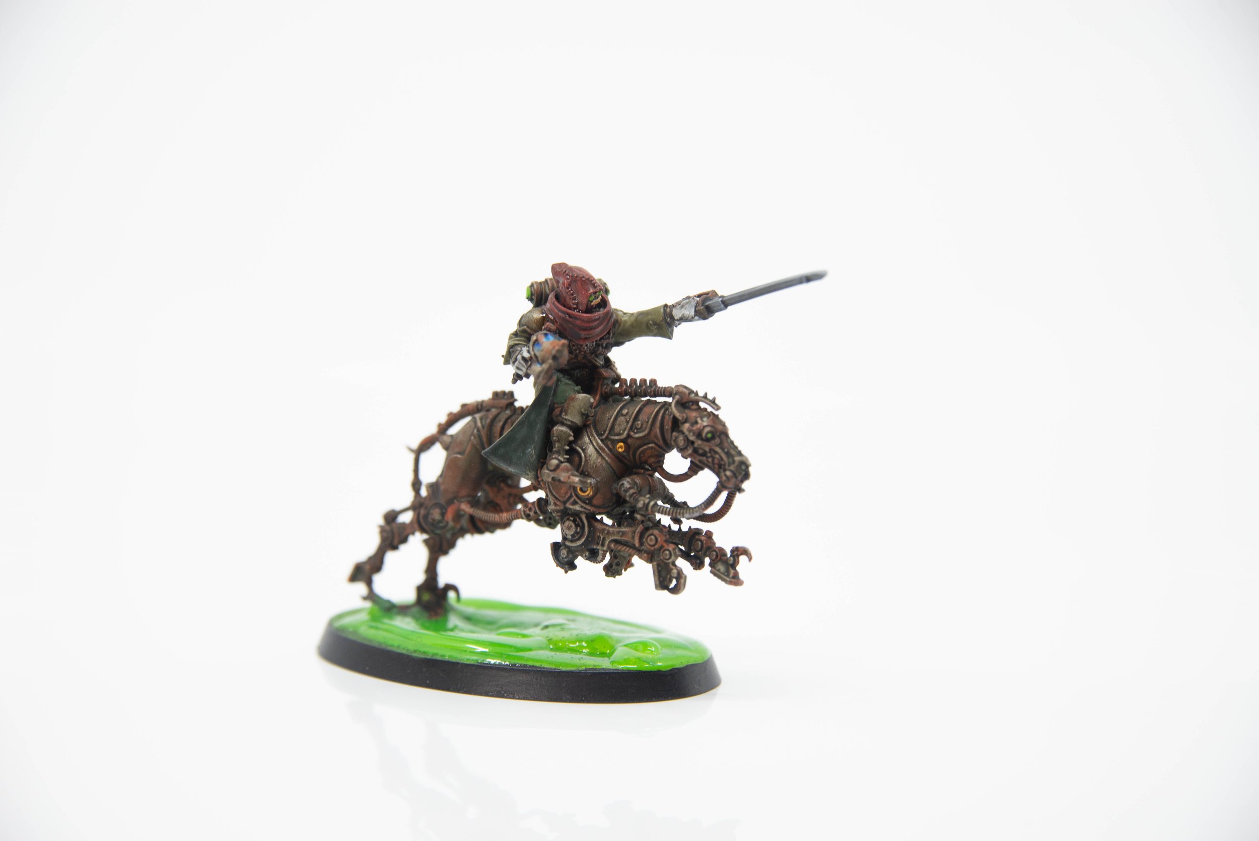 Serberys Raiders-4.jpg