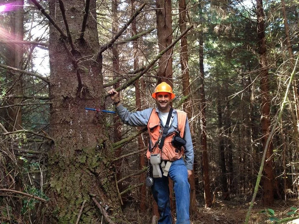 Reed Wendel Angeles Forestry Owner timber cruising in stand of Douglas fir and western hemlock in Clallam County on the North Olympic Peninsula.