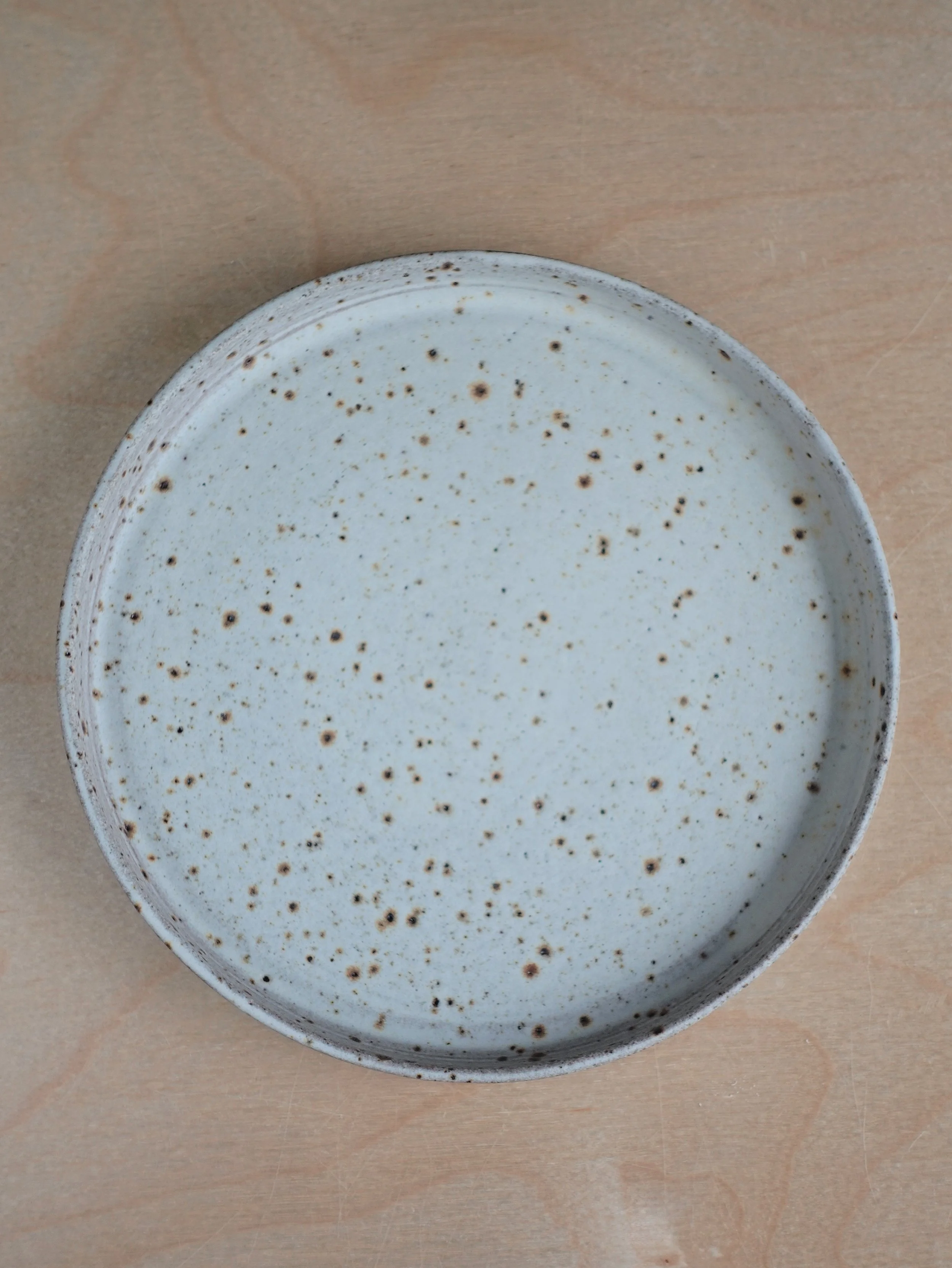 Freckled White Plate