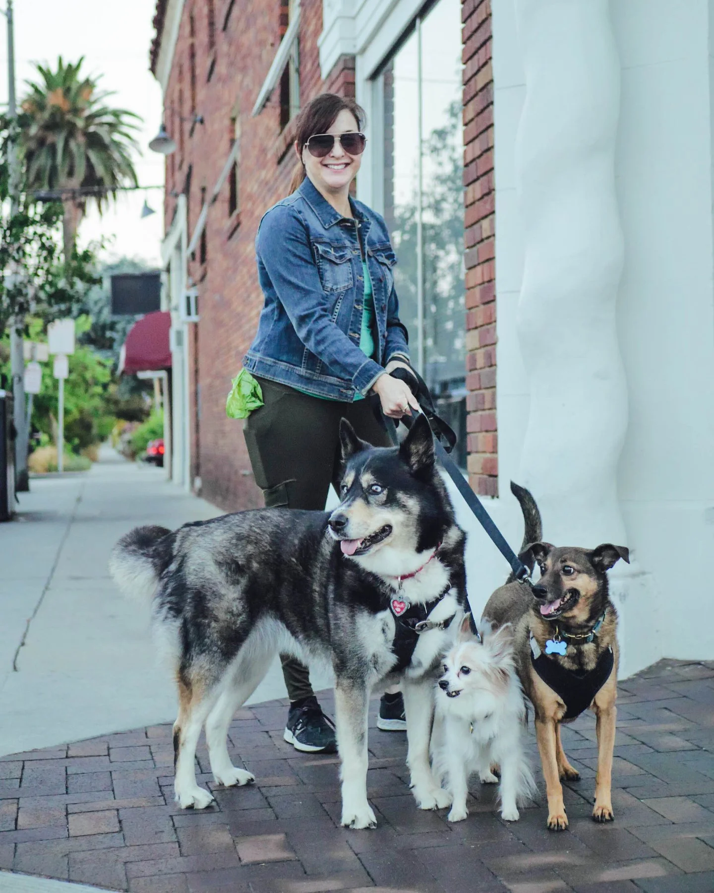 Dog days are the best days in Belmont Shore. 🐾☀️

Start with a coffee and a stroll down 2nd Street.
Grab a seat on a sunny patio for lunch.
Then let them run wild at Rosie's Dog Beach for golden hour by the water. 🌊✨

From tail wags to salty air, i