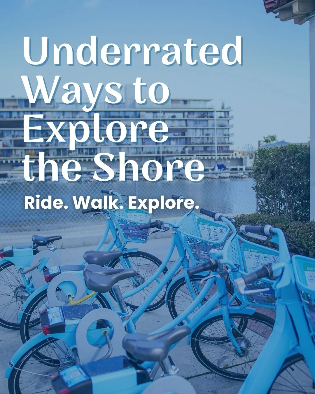 Discover and explore Belmont Shore on foot! Skip the parking hassle and arrive effortlessly with the free LB Circuit or Long Beach Transit. 🚌

Join the Belmont Shore Weekly Walking Tours every Wednesday &amp; Saturday morning for a local perspective