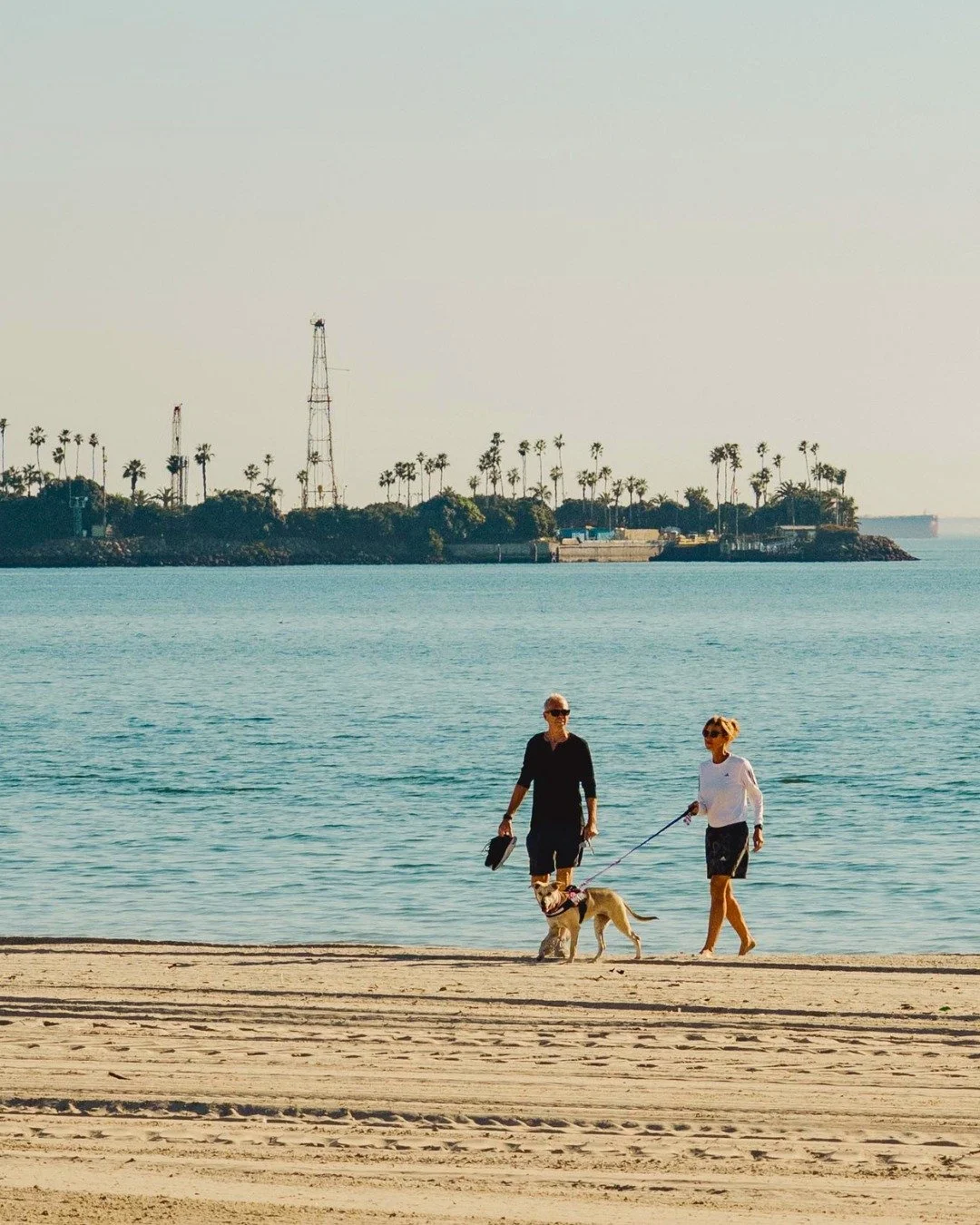 Summer is just around the corner ☀️

We can't wait for summer Shore vibes &mdash; kites over the beach, volleyball in the sand, kayaks on the bay, bikes cruising by, patio dining, shopping, and ocean breezes keeping everyone out a little longer.

Thi