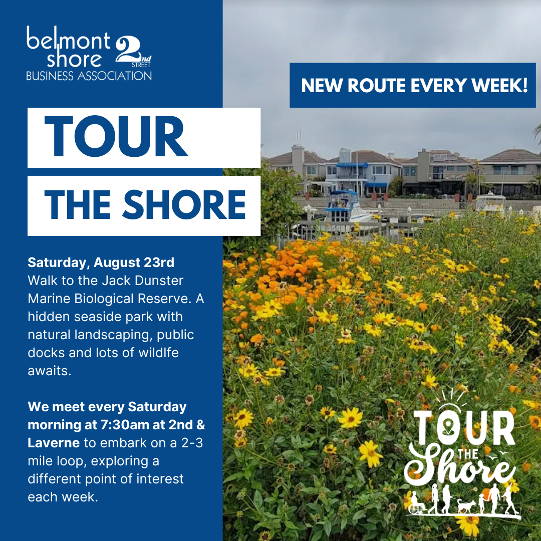 Tour the Shore weekly walking group