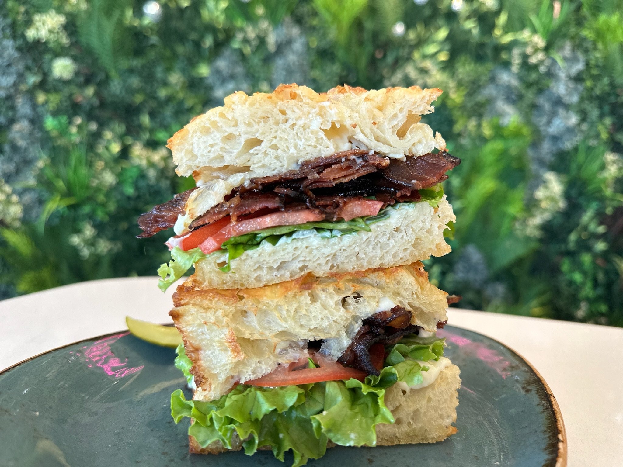 SWEET BOY BLT applewood bacon, lettuce, tomato, parmesan aioli on house focaccia