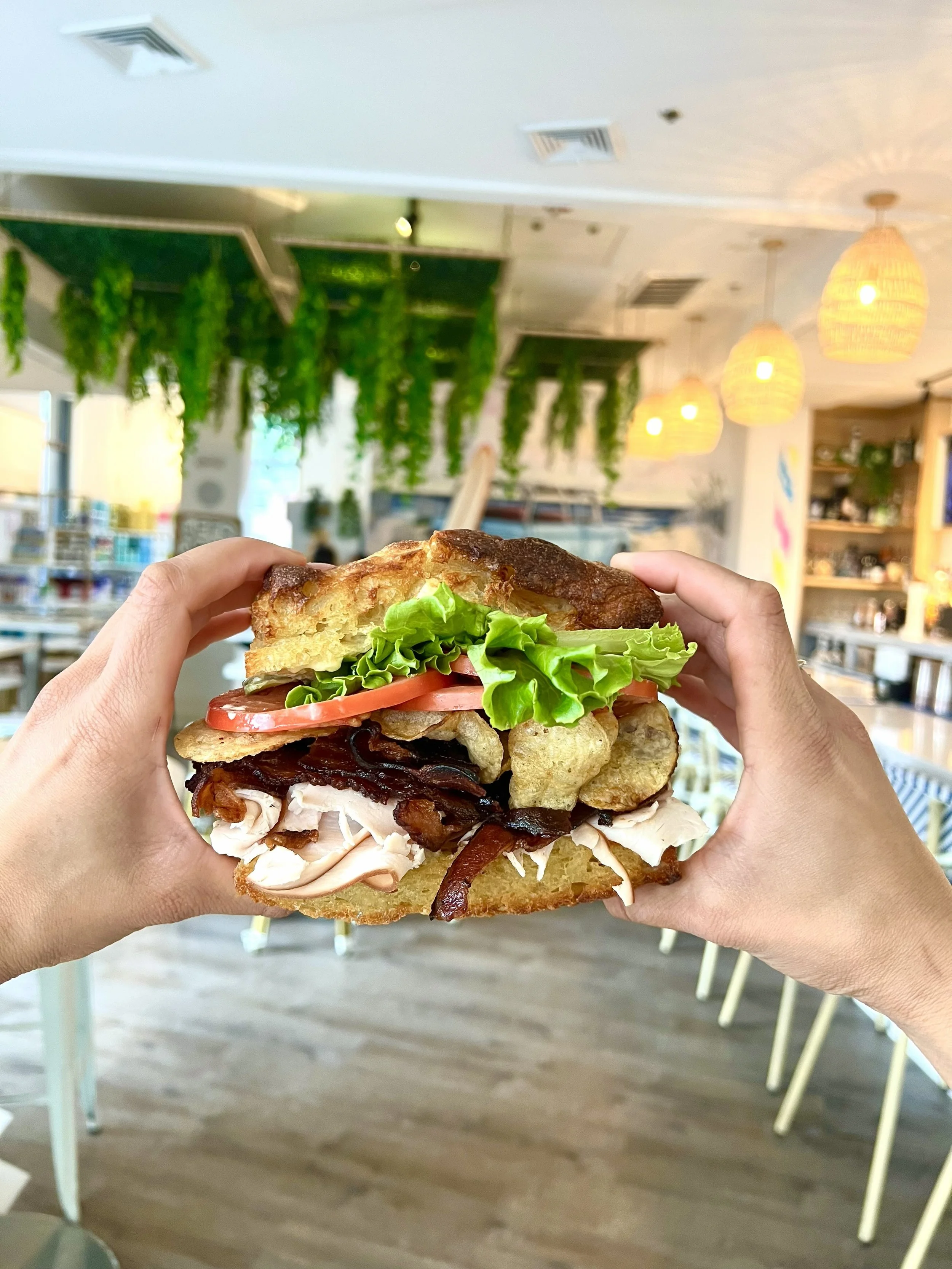 SEXY SAUSAGE BOY house breakfast sausage, fried egg, bourbon maple 
caramelized onion aioli, cheddar cheese on Fresh's everything focaccia