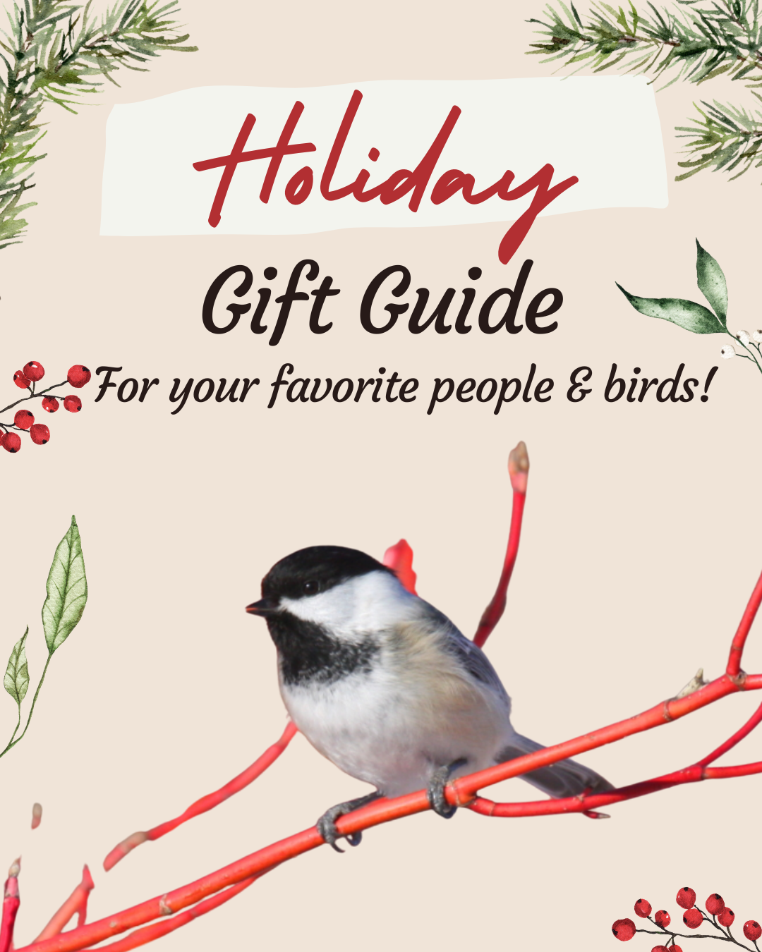Holiday Gift Guide for People and Birds!