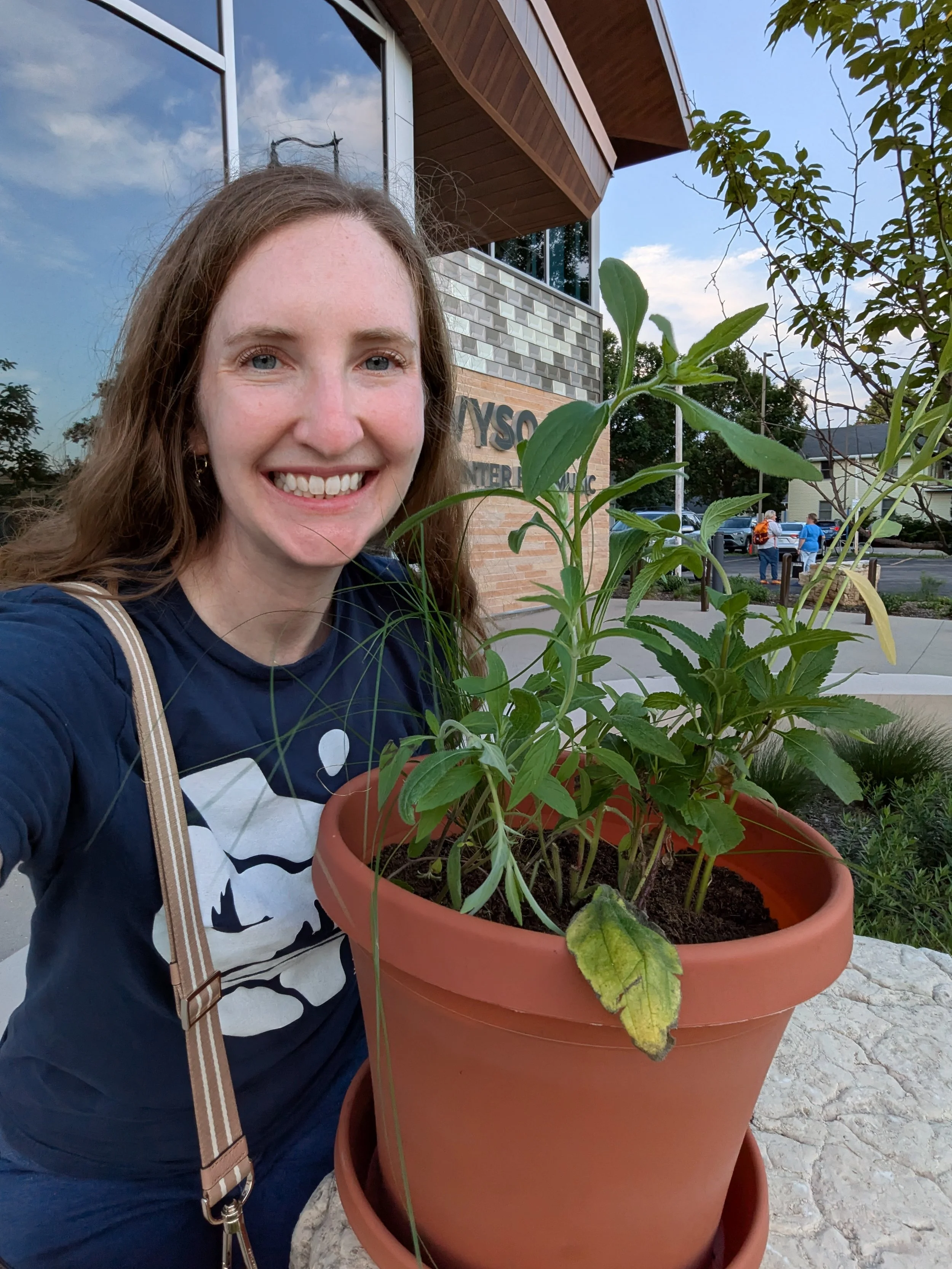 Planting a Mini Porch Prairie
