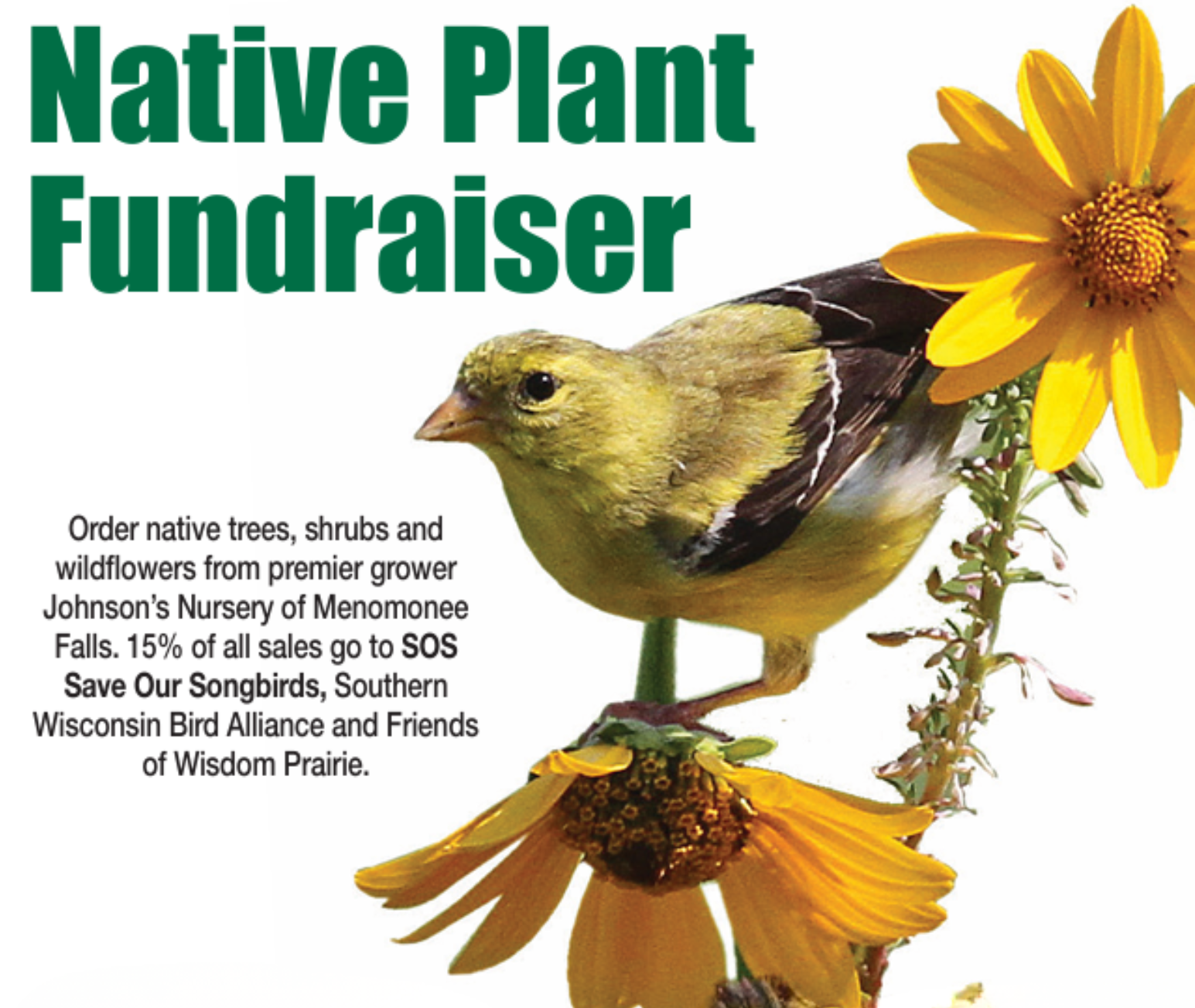 Native Plant Sale Fundraiser 