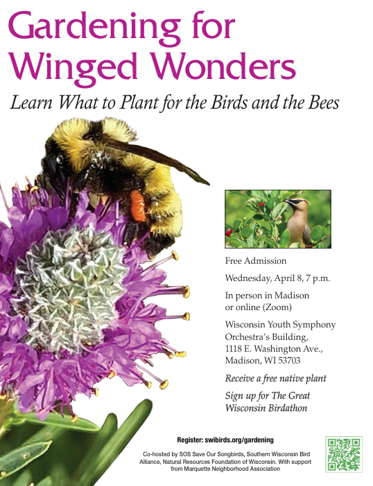Hybrid event: Gardening for Winged Wonders