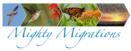Mighty Migrations: The Mystery of Migration
