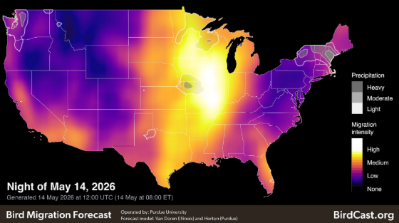 Mighty Migrations:  Reading the Night Sky: Ecological Forecasting for Bird Conservation