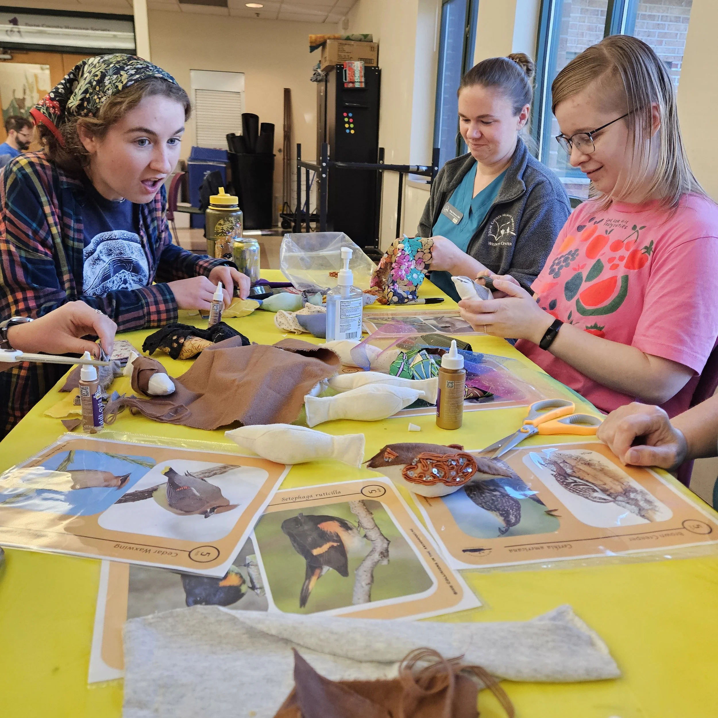 World Bird Migration Day: Bird Crafting for a Safer Migration