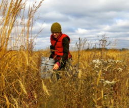 Native seed swaps, workshops and collecting offer a great way to learn and save money