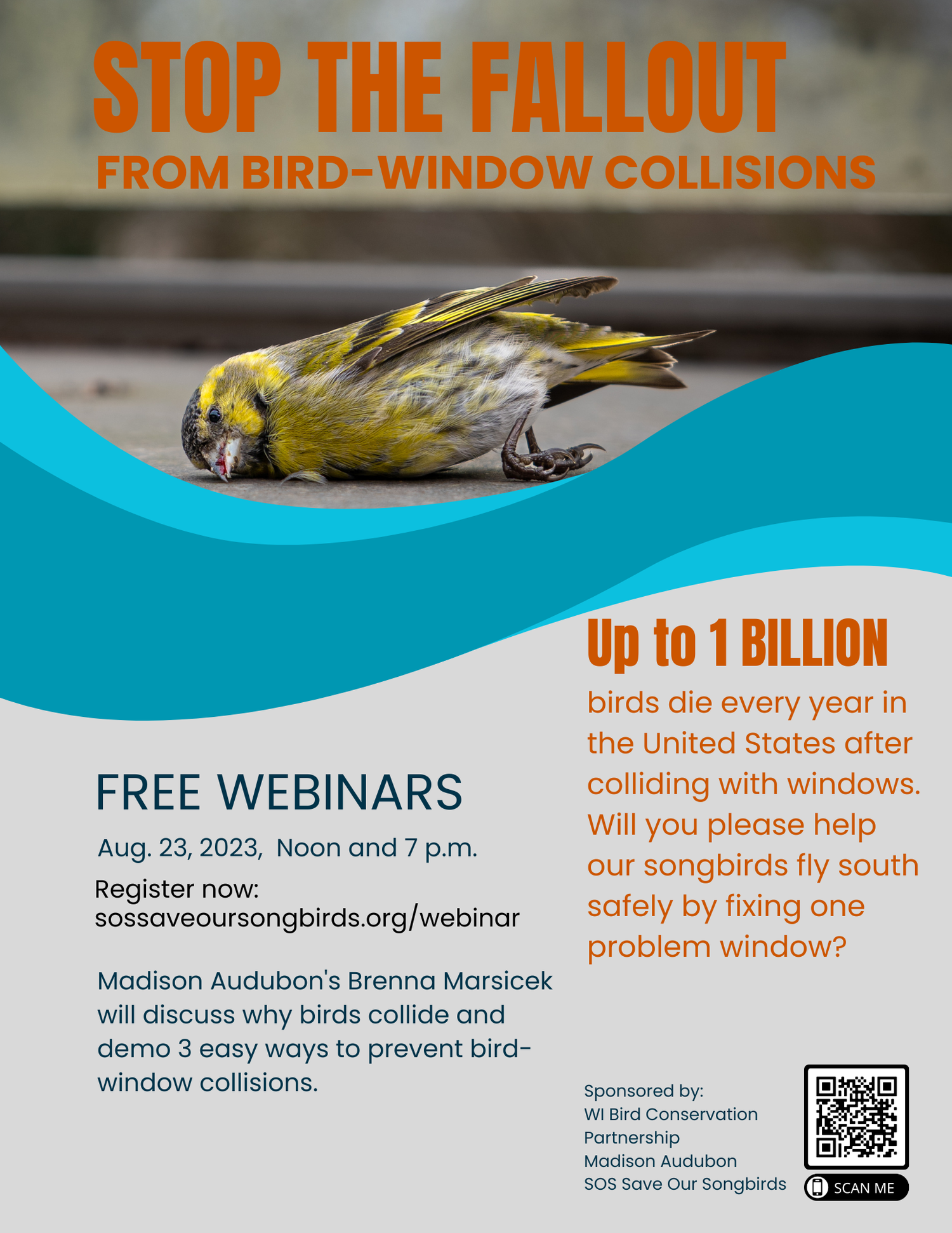 Webinar Sos Save Our Songbirds