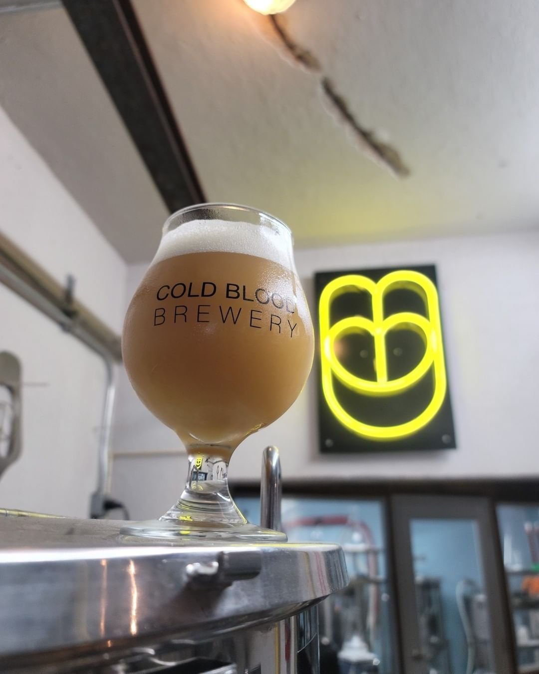 Cold Blood Brewery de Quebradillas lanza nueva cerveza