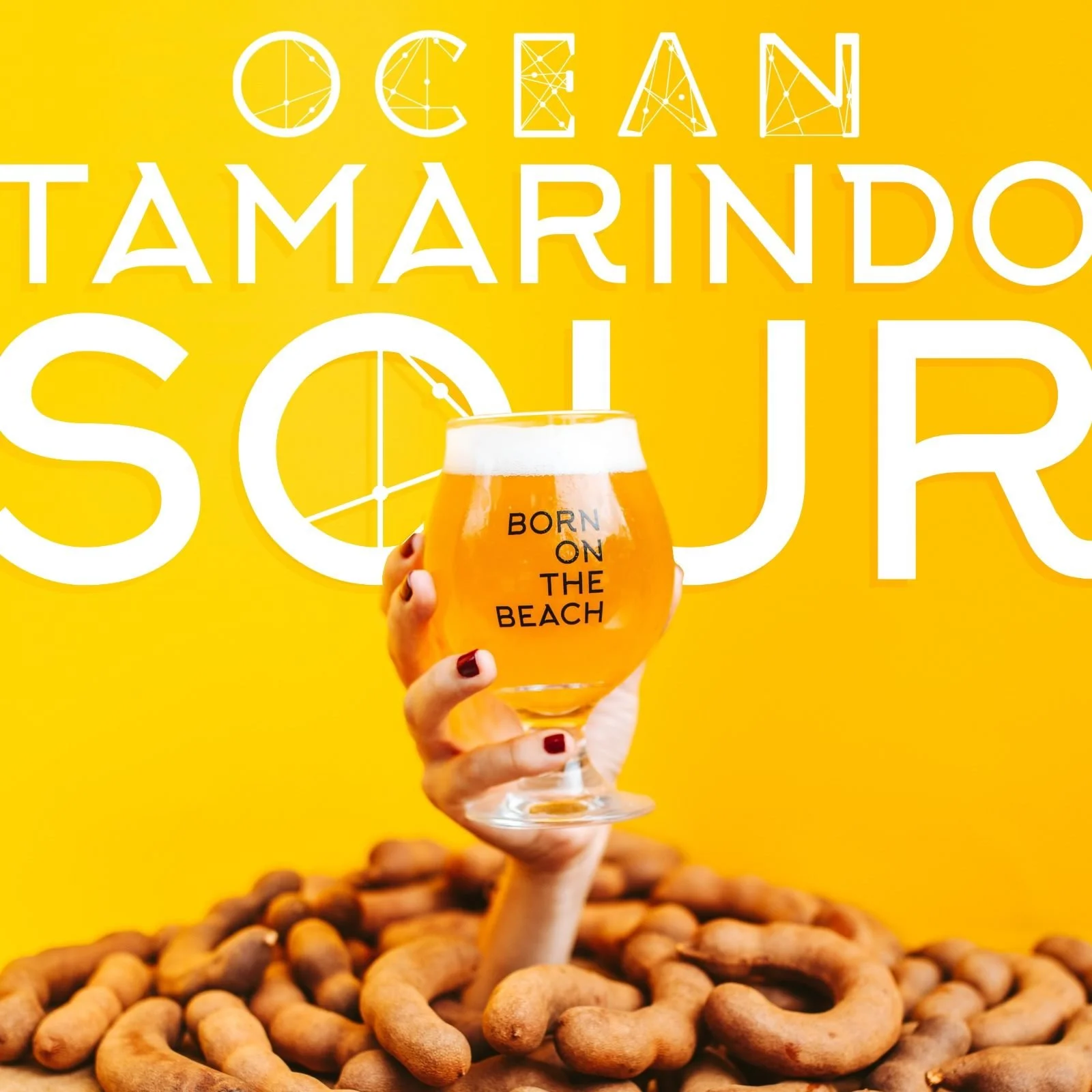 Ocean Lab Brewing anuncia nueva cerveza Sour con sabor local