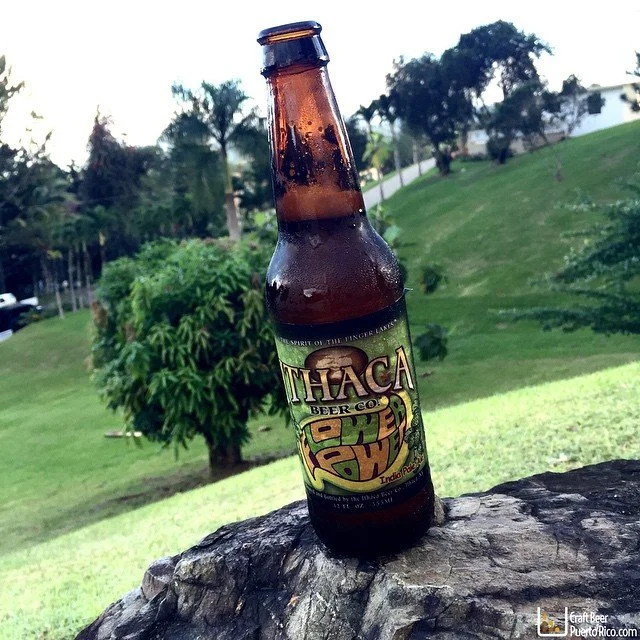 Ithaca Flower Power IPA