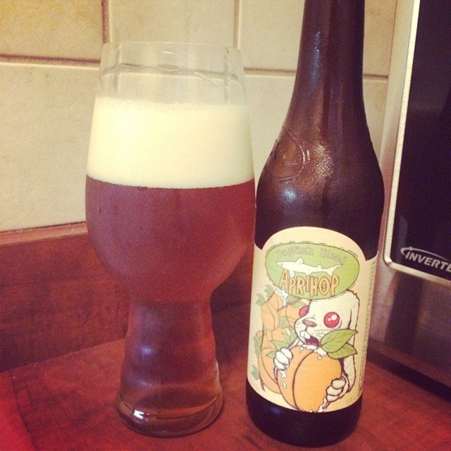 Dogfish Head Aprihop vía @ramonesbrew en Instagram