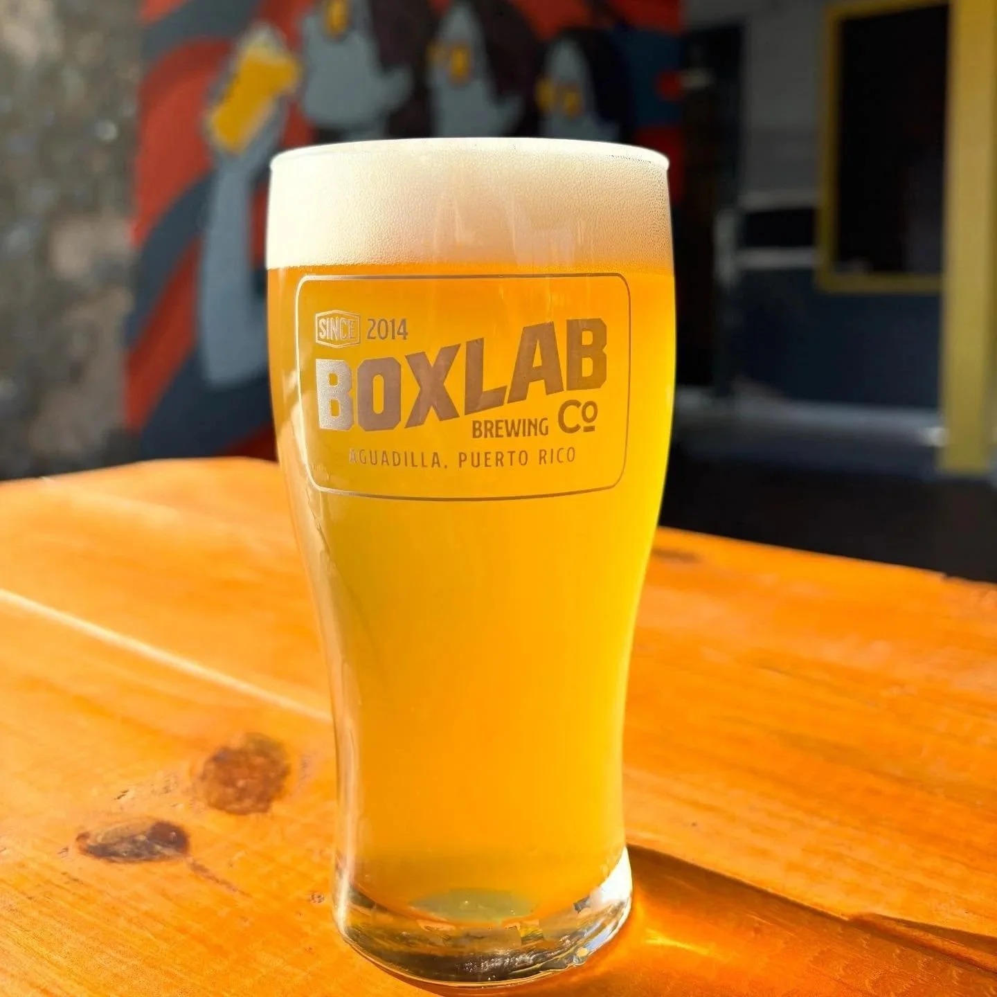 Celebración 2025 de Beer Box y Boxlab en Aguadilla