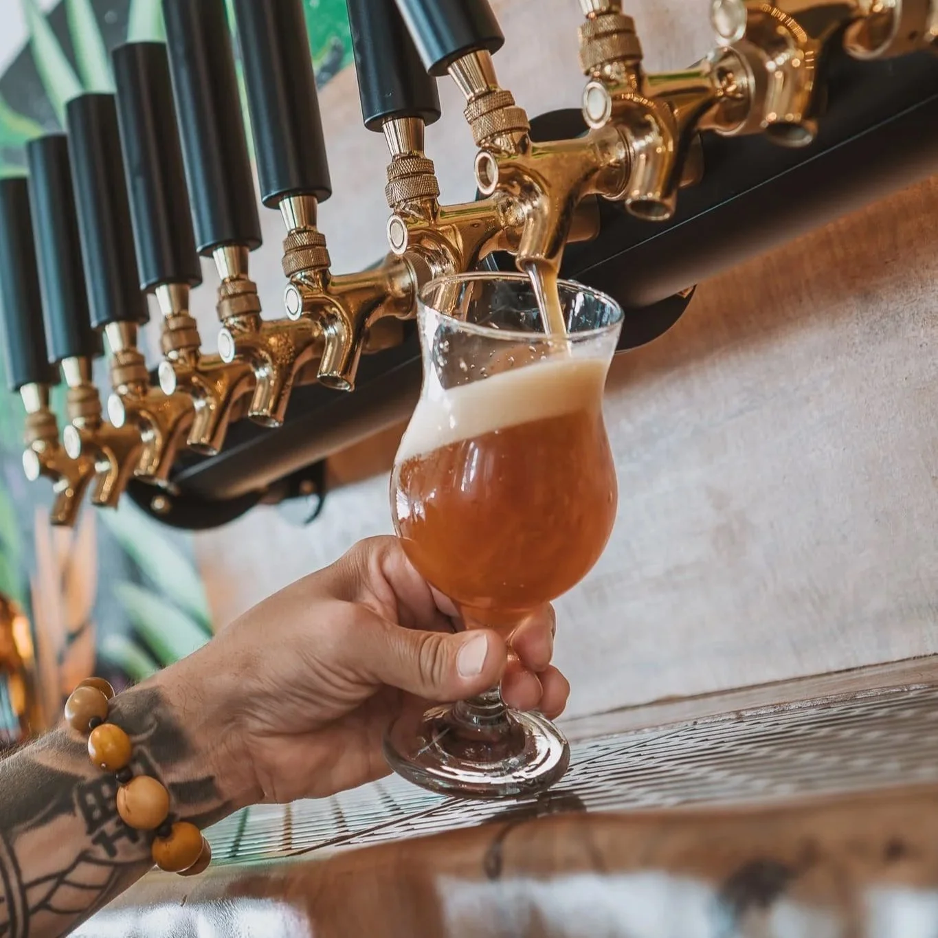 Cuáles son las cervecerías que están próximas a abrir en Puerto Rico y en qué etapa se encuentran