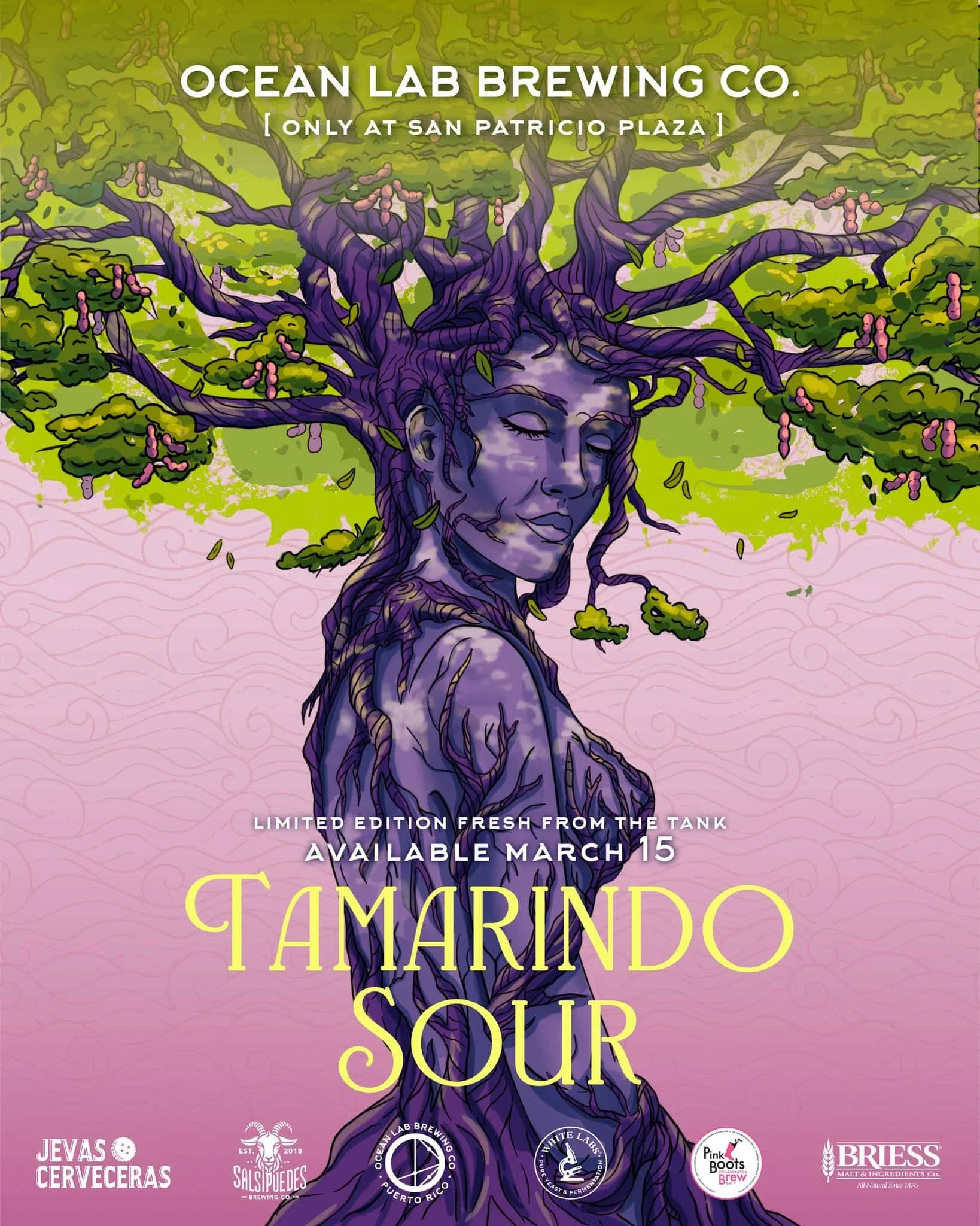Ocean Lab Brewing lanza Tamarindo Sour en colaboración con Jevas Cerveceras, Salsipuedes Brewing y Pink Boots LATAM