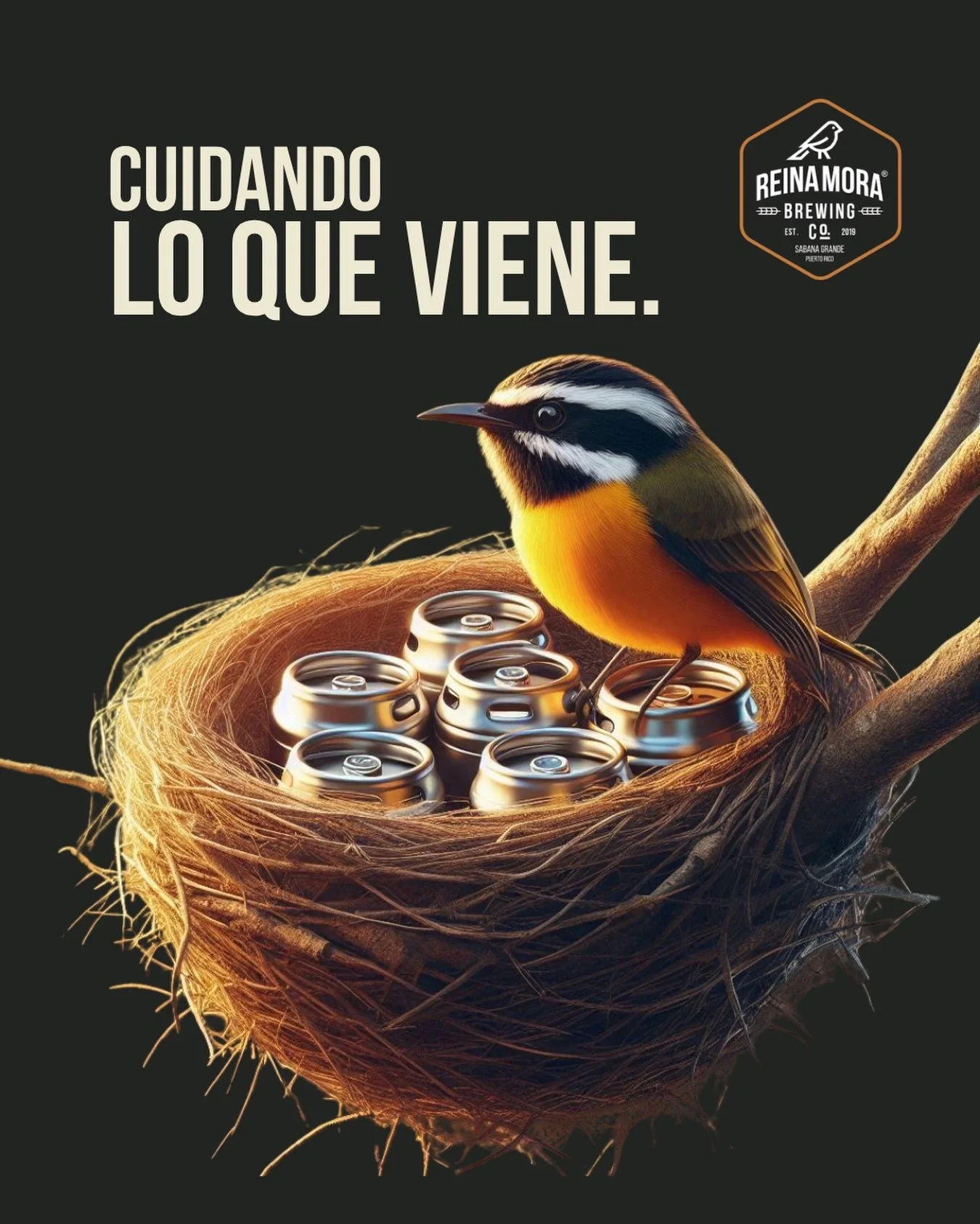 Reina Mora Brewing de Sabana Grande cuadruplica su capacidad de producción con nuevo brewhouse y enlatadora automática