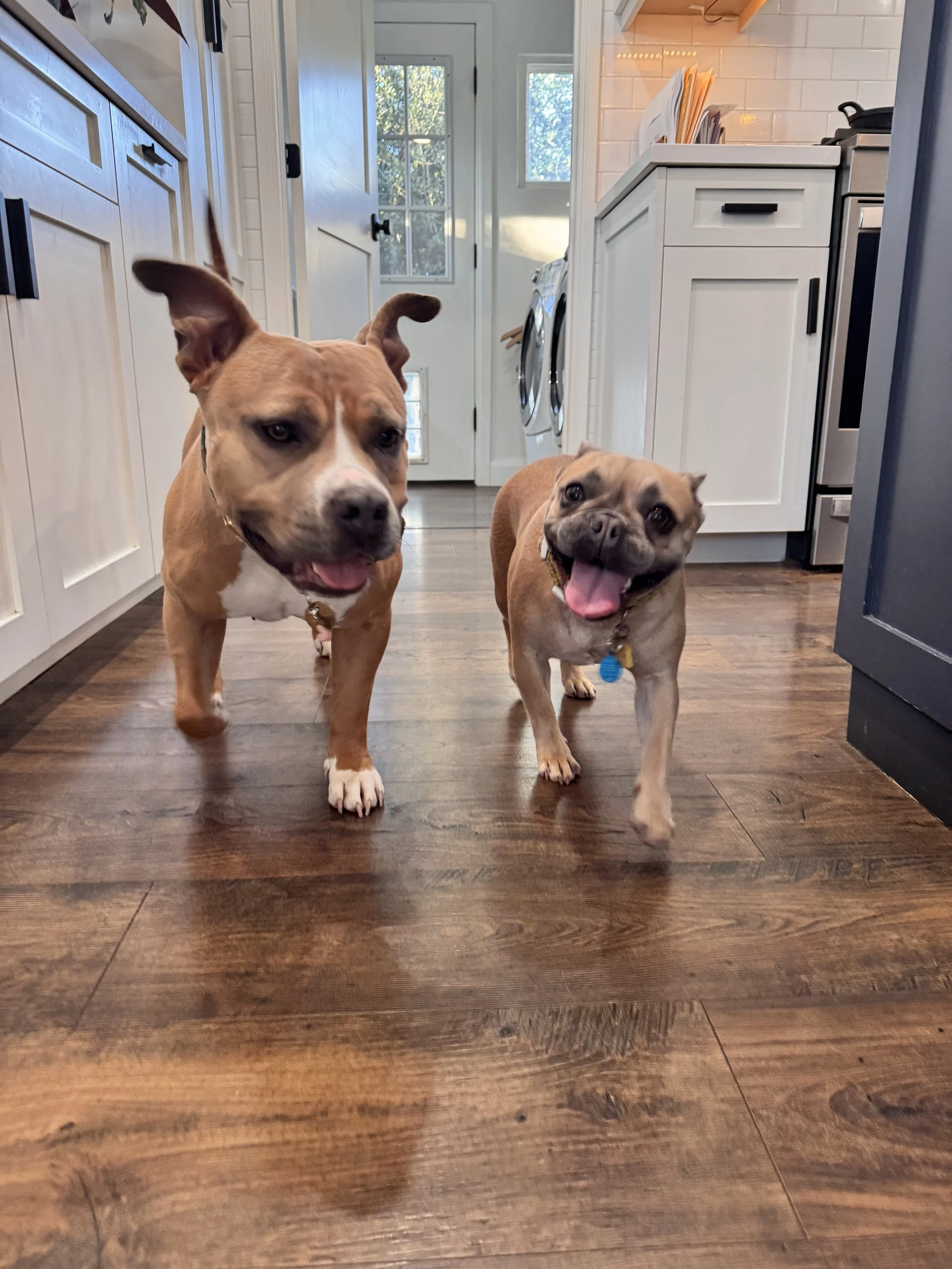 IMG_4095.jpg