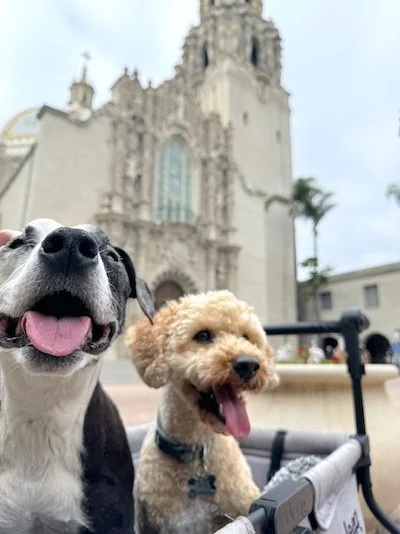 Maddie and Milo_Balboa Park.jpeg