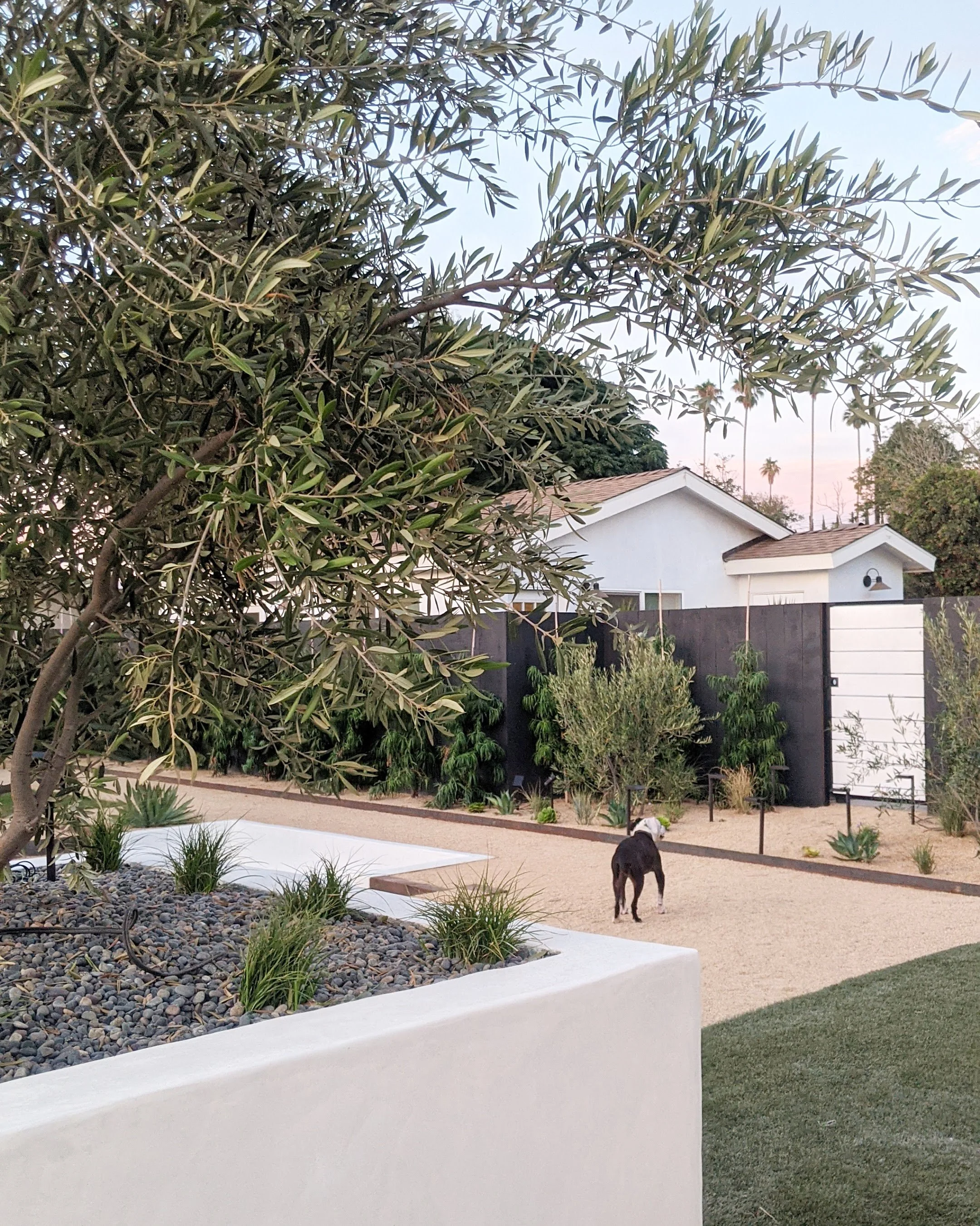 Small Pack Petsitting.jpeg