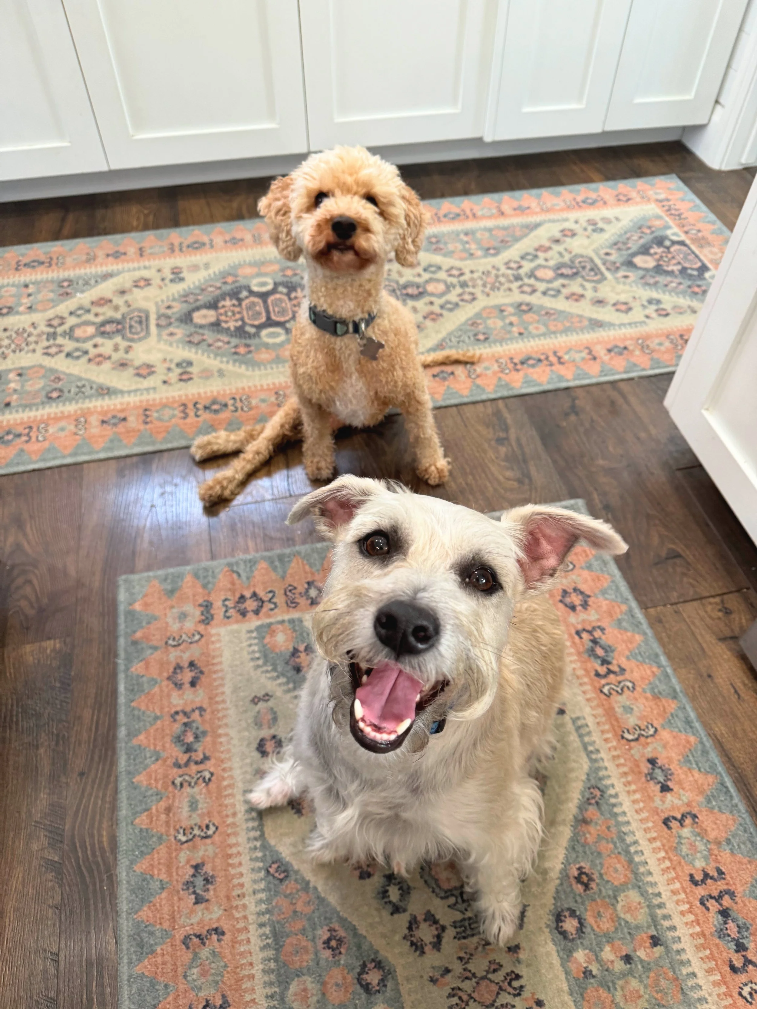 Milo and Penny.jpg