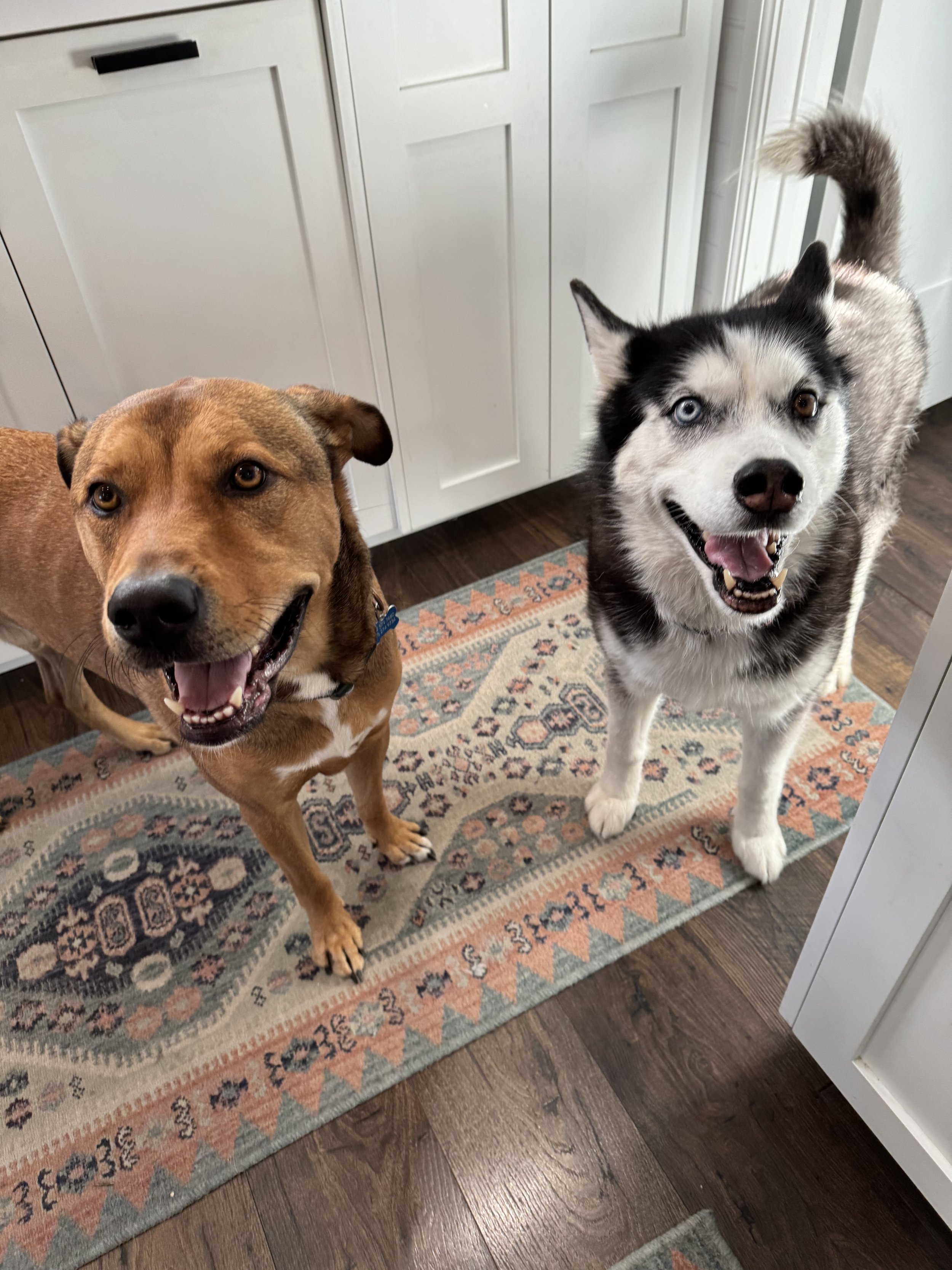 Gus and Sniper.jpeg