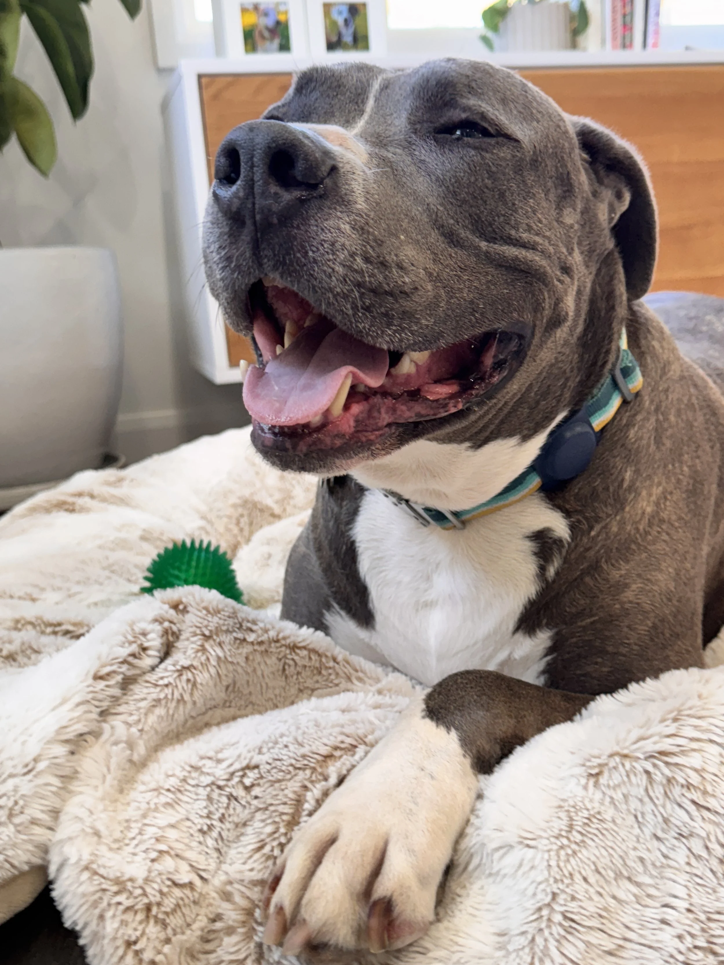IMG_2943.jpg